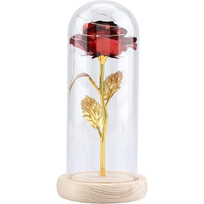 Fleur de Rose Préservée Lumière LED avec Couvercle en Verre & Base en Bois Saint-Valentin Mariage Rouge rouge