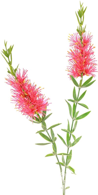 Kunstbloemen Rood Karmijn Cilinderreinigers 70cm 3st