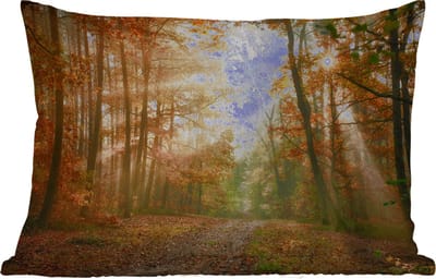 Buitenkussens - Tuin - Bos - Herfst - Zon - Landschap - Natuur - Bomen - Bladeren - 50x30 cm