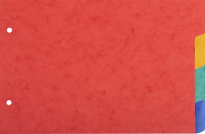 Exacompta 10x Tabbladen in gerecycleerd karton 225g - 4 tabs - 148x210mm A5 - Geassorteerd - 804E