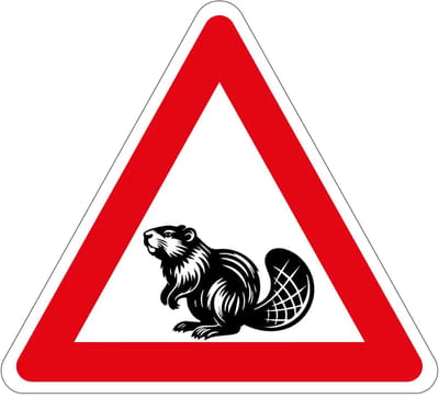 Pas op overstekende bevers sticker | 40 cm