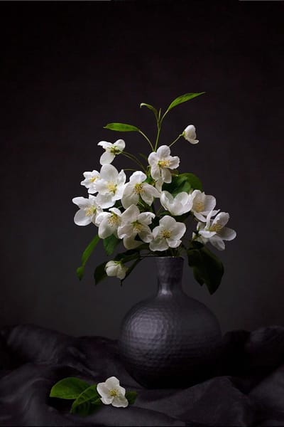 A still dark life – 100cm x 150cm - Fotokunst op PlexiglasⓇ incl. certificaat & garantie.