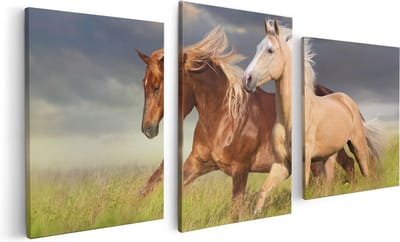 Artaza Canvas Schilderij Drieluik Bruin En Wit Paard In De Wei - 120x60 - Foto Op Canvas - Canvas Print