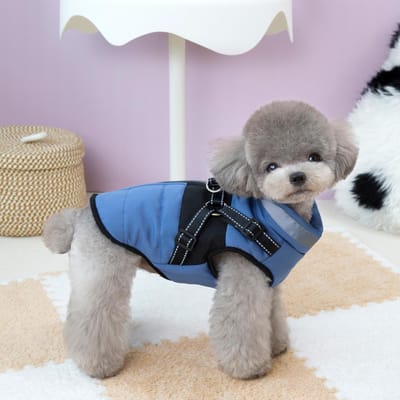 Warme Winter Hondenkleding voor Kleine Middelgrote Honden Puppy Outfit Winddichte Jas Chihuahua Franse Bulldog Yorkies Vest XS gray