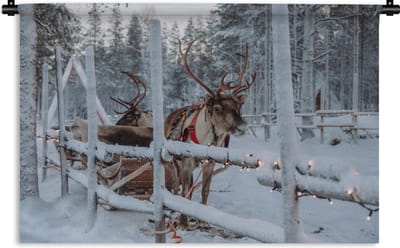 Wandkleed Kerst - Een rendier in het Dorp van de Kerstman in Finland Wandkleed katoen 150x100 cm - Wandtapijt met foto