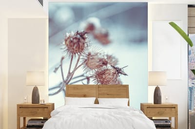 Behang - Fotobehang Planten - Winter - Sneeuw - Natuur - Breedte 165 cm x hoogte 220 cm