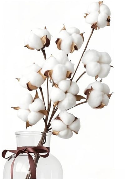 Natuurlijke katoenen decoratie met verwisselbare bloemkoppen – gedroogde bloemen, 10 stuks, 42 cm