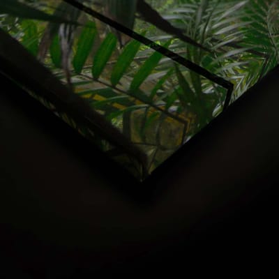 Canvas DD124916 Rainforest1 A. S. Création