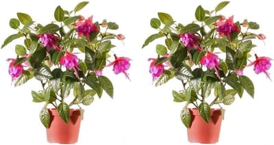 Bellatio flowers & plants kunstplant met bloemen - 2x - fuchsia roze - 30 cm - binnen