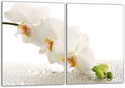 TMK ArtDeko - Serie - Glazen Beschermplaat - 40x52 cm - Gehard Glas - Orchidee