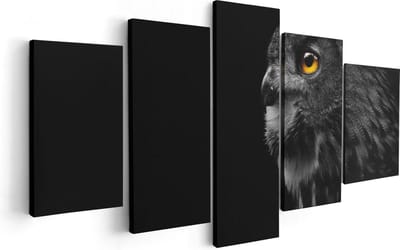 Artaza Canvas Schilderij Vijfluik Zwarte Uil Met Gouden Ogen  - 100x50 - Foto Op Canvas - Canvas Print