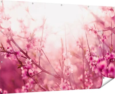 Gards Tuinposter Roze Bloesemboom met Zonneschijn - 180x120 cm - Tuindoek - Tuindecoratie - Wanddecoratie buiten - Tuinschilderij