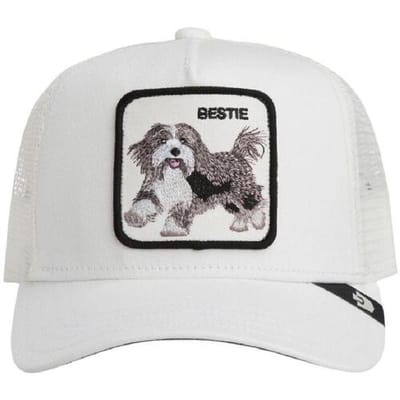 Pet Goorin Bros 201-0094 dust
