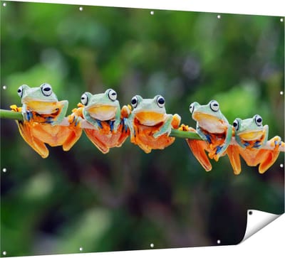 Gards Tuinposter Groep Kikkers op een Tak - 160x120 cm - Tuindoek - Tuindecoratie - Wanddecoratie buiten - Tuinschilderij