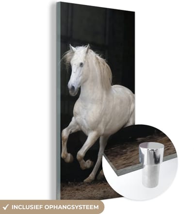 MuchoWow® Glasschilderij 20x40 cm - Schilderij acrylglas - Paarden - Zwart - Portret - Foto op glas - Schilderijen