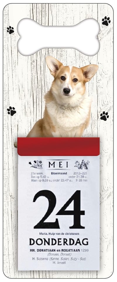 Scheurkalender 2027 Hond: Welsh Corgi Pembroke