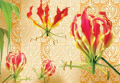 Fotobehang Flowers Floral | XL - 208cm x 146cm | 130g/m2 Vlies