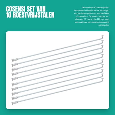 Dailygoods- Fiets Spaken 10 Stuks - Roestvrij Staal - 2,2 mm Dikte - Mountainbike/Driewieler - Accessoires - Ondersteuning voor Wiel - Fietsspaken