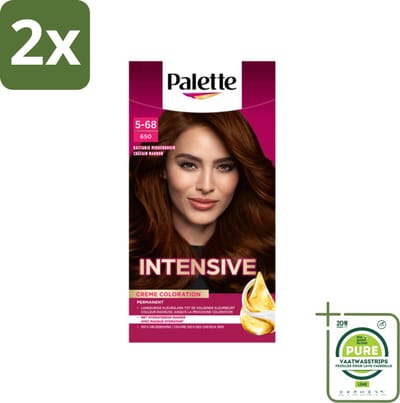 Palette Intensive Oil-Care Color Haarkleuring 650 Kastanje Middenbruin - Voordeelverpakking - 2 stuks - Haarverf - Kastanjebruin