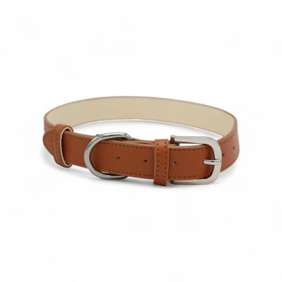 Dog's Companion Leren Halsband Hond - PU leren hondenhalsband - Lengte: 55 cm Verstelbaar van 37,5-47,5 cm x 25 mm - Bruin
