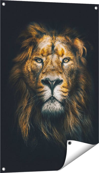 Gards Tuinposter Leeuw - Leeuwenkop - Kleur - 60x90 cm - Tuindoek - Tuindecoratie - Wanddecoratie buiten - Tuinschilderij