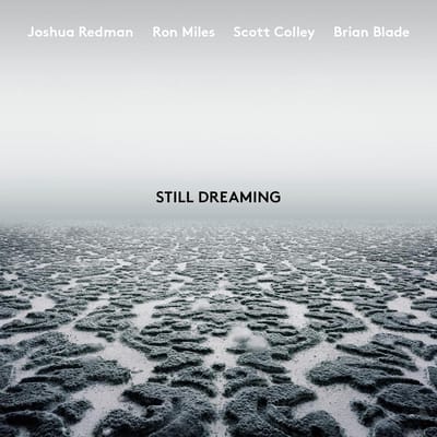 Still Dreaming (Feat. Ron Miles & Scott Colley & Brian Blade)