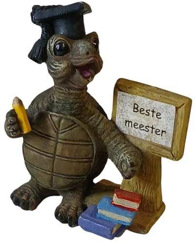 Schildpad beeldje Beste Meester