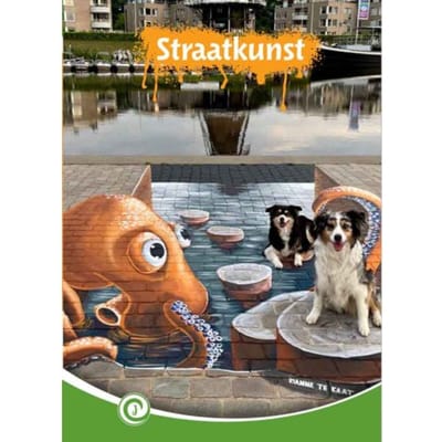 Straatkunst - Junior Informatie - Ingrid Nijkamp