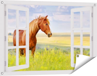 Gards Tuinposter Doorkijk Bruin Paard in de Wei - 90x60 cm - Tuindoek - Tuindecoratie - Wanddecoratie buiten - Tuinschilderij