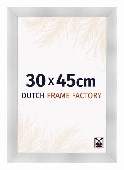 Fotolijst 30x45 cm - MDF - Aluminium Geborsteld - Praag