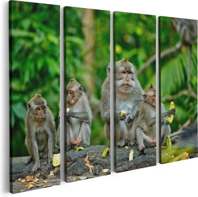 Artaza Canvas Schilderij Vierluik Groep Apen Eten Bananen In Het Bos - 80x60 - Foto Op Canvas - Canvas Print