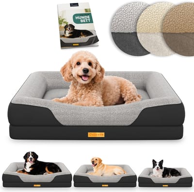 ELONEO Orthopedisch Hondenbed – S – Zwart