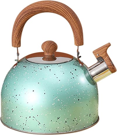 Roestvrijstalen Waterketel - Grote Ketel - Water Koken - Met Fluitje - 2 Liter - Groen