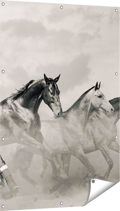 Gards Tuinposter Vier Paarden naast Elkaar - Zwart Wit - 80x120 cm - Tuindoek - Tuindecoratie - Wanddecoratie buiten - Tuinschilderij