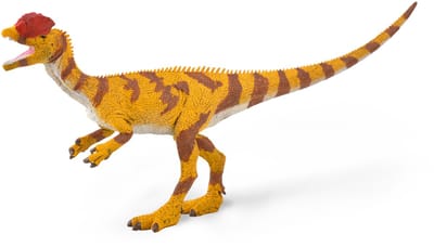COLLECTA Figurine - Dilophosaurus - 1:40 - Prehistorie - Handgeschilderd - Dinosaurus - Miniatuur