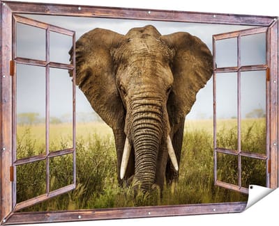 Gards Tuinposter Doorkijk Olifant in het Wild - Kleur - 180x120 cm - Tuindoek - Tuindecoratie - Wanddecoratie buiten - Tuinschilderij