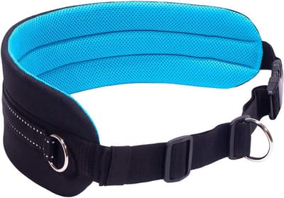 Ergonomische Buikriem voor Honden: Ideaal voor Canicross, Trekking en Hardlopen