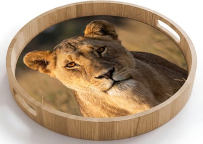 Dienblad rond 40x40 cm - Schootdienblad hout - Leeuwin - Gras - Geel - Borrelplank rechthoek - Plateau houten dienbladen