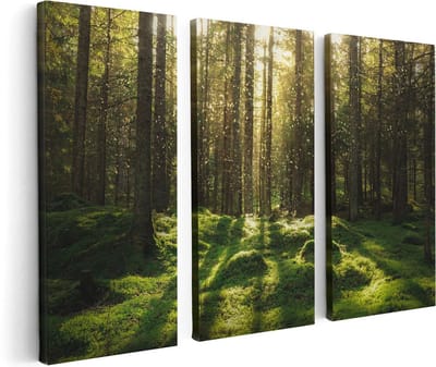 Artaza Canvas Schilderij Drieluik Bos met Groen Mos op de Grond - 120x80 - Foto Op Canvas - Canvas Print