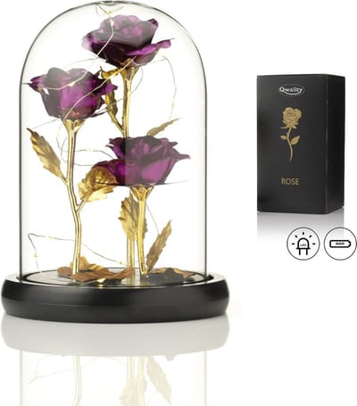Luxe Roos in Glas met LED – 3x Gouden Roos in Brede Glazen Stolp – Moederdag - Cadeau voor vriendin moeder haar - Paars 3x Roos Brede Stolp - Qwality®