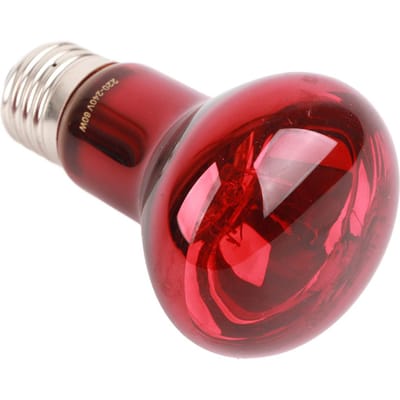 Lampe Chauffante Infrarouge RS 60W Excellente Source de Chaleur 24 Heures Ampoules Chauffantes Rouges pour Tortue Dragon Barbu Lézard brown