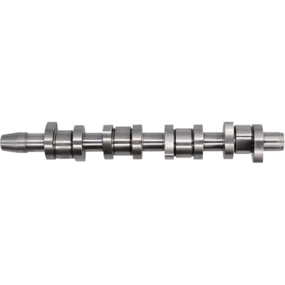 Nokkenas  AE CAM968