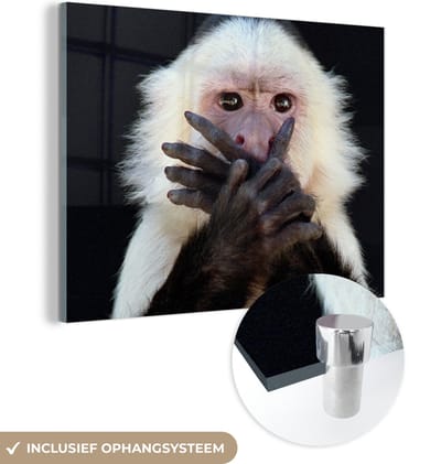 MuchoWow® Glasschilderij 160x120 cm - Schilderij acrylglas - Aap - Wilde dieren - Portret - Foto op glas - Schilderijen