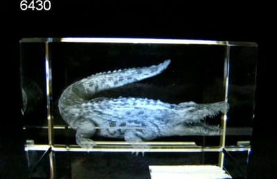 Glasblokje met 3D Laser Gravure Krokodil – Luxe Cadeau in Geschenkverpakking – 8 cm