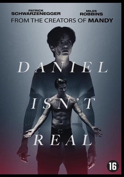 Daniel Isn't Real (DVD)