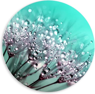 Forex Wandcirkel - Close up Paardenbloem - 60x60cm Foto op Wandcirkel (met ophangsysteem)