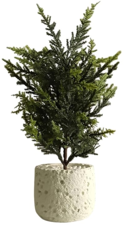 Dailygoods- Kunstplant 32 cm - Realistische decoratieve plant - Kunstplant in pot - Onderhoudsvriendelijk - Duurzaam - Compact formaat - Inclusief lavastil pot - Nepplant