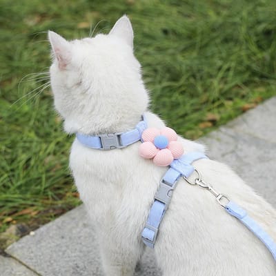 Harnais pour Chat avec Laisse, Motif Floral Mignon, Confortable et Léger, Ensemble de Harnais Anti-Évasion pour Animaux de Compagnie Blue S multicolore