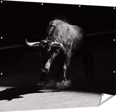 Gards Tuinposter Stier in de Arena - Zwart Wit - 150x120 cm - Tuindoek - Tuindecoratie - Wanddecoratie buiten - Tuinschilderij