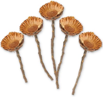 Droogbloemen Set - Natuurlijke Decoratie - Herfst Decoratie - Set van 5 - 4-6.5 cm - Natuurlijk